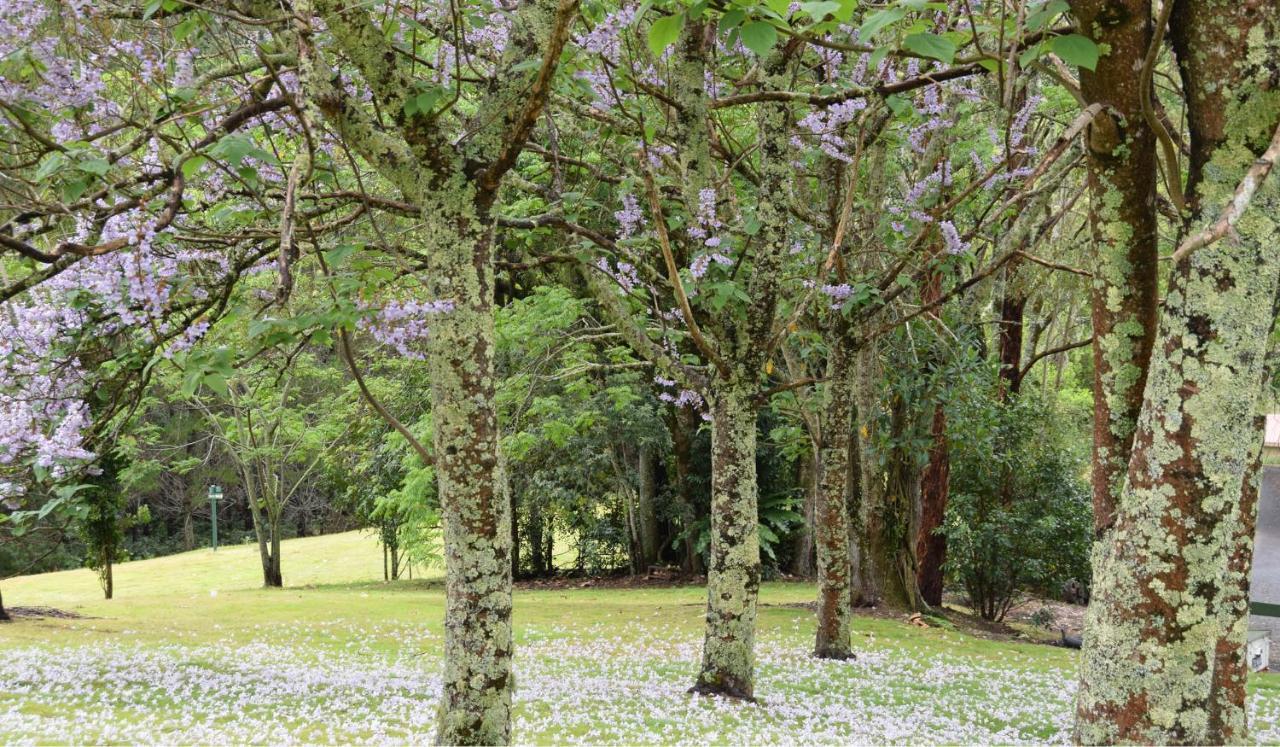 Copeland House Bed & Breakfast Luaran gambar